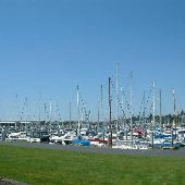 Bellingham Marina