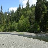 Humptulips River West Fork