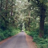 Ledbetter State Park