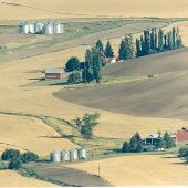 Palouse Grain Silo