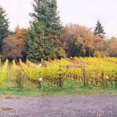 Bainbridge Winery