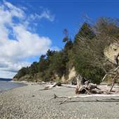 Camano Island State Park