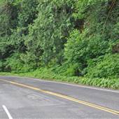 HWY 101 - Alongside Lake Crescent