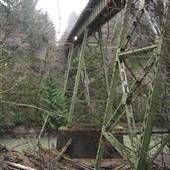 Bridges - Green Diamond Resource Co.