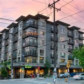 Collins on Pine Apartments