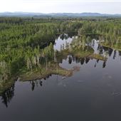 Olympic Mountain Evergreen Tree Farm and Lake