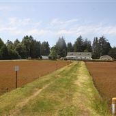 The Cranberry Museum and Farm