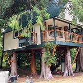 The Country House and Tree House
