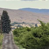 Yakima County Scenics ::: Roads and Farmland