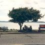 Schmitz Park