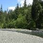 Humptulips River West Fork