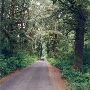 Ledbetter State Park