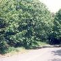 McMurray Road