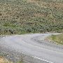 Pinto Ridge Road