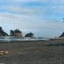 Quileute Reservation