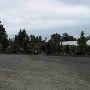 Longview Nursery