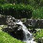 Finch Arboretum