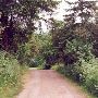 Luther Burbank Park