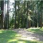 Beaver Lake Park