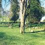 Evergreen Cemetery