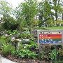 Madison Park