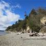 Camano Island State Park