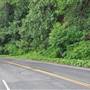 HWY 101 - Alongside Lake Crescent