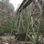 Bridges - Green Diamond Resource Co.