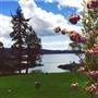Pebble Cove Farm