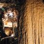 Crawford State Park - Gardner Cave