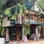 The Country House and Tree House