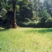 Cedar Creek Farm - GEO