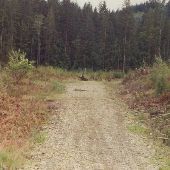 Markworth State Forest