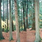 Millersylvania State Park - GEO