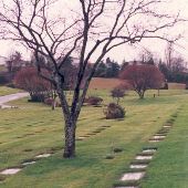 Forest Lawn Cemetery