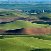 Palouse - Walla Walla