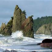 Olympic Peninsula