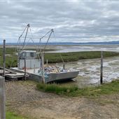 Oysterville Sea Farms