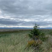 Leadbetter Point State Park
