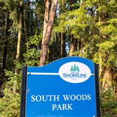 SOUTH WOODS - SHORELINE - FADING LIGHT