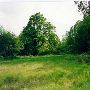 Connely Road