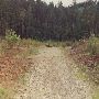 Markworth State Forest