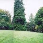 Chittenden Locks Park