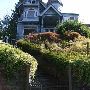 Morse House
