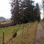 19884 Kelleher Rd
