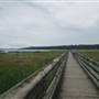 Theler Wetlands