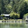 Waterfront Home