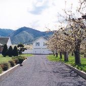 White Home Apple Orchard