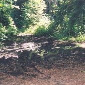 Everett Forest Park - GEO