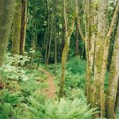 Saint Edwards Park - GEO